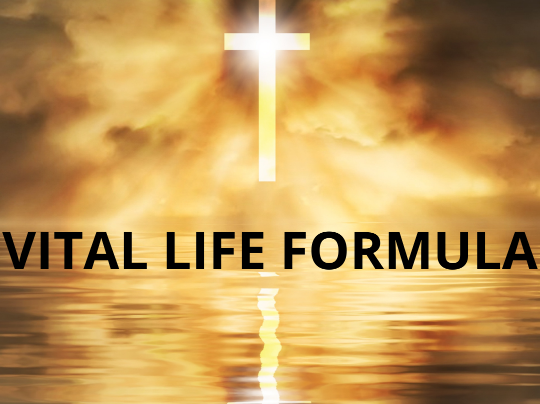 vitallifeformula.com